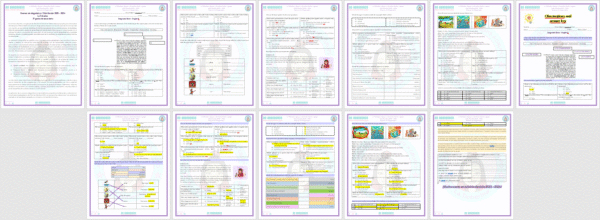 Bundle Examen de Diagnóstico de Inglés Secundaria | 1° 2° 3° grado | Ciclo 25-26 - Imagen 3